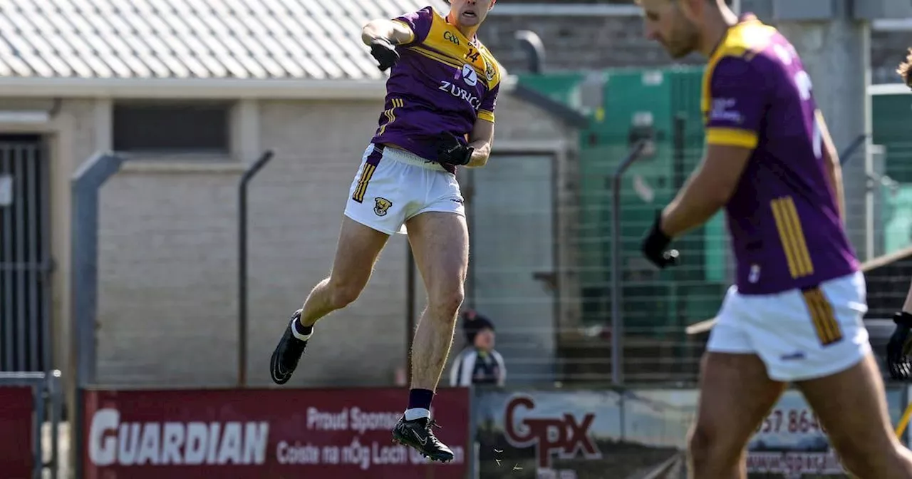 Wexford enjoy their biggest championship victory with 23-point win over Carlow