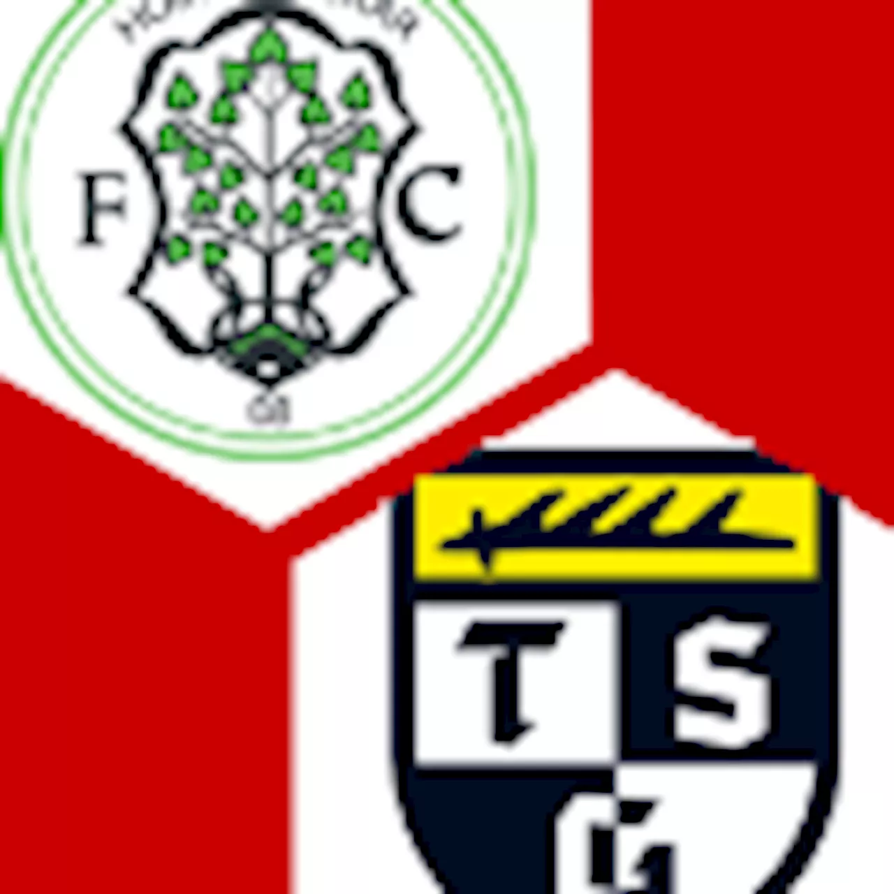 TSG Balingen 1:0 | 28. Spieltag | Regionalliga Südwest 2023/24