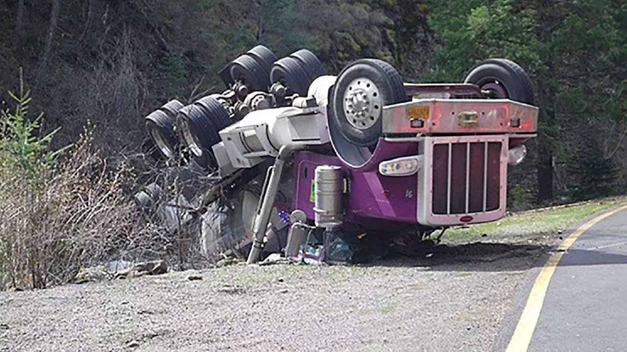 Tens of thousands of live salmon fell off a truck in Oregon