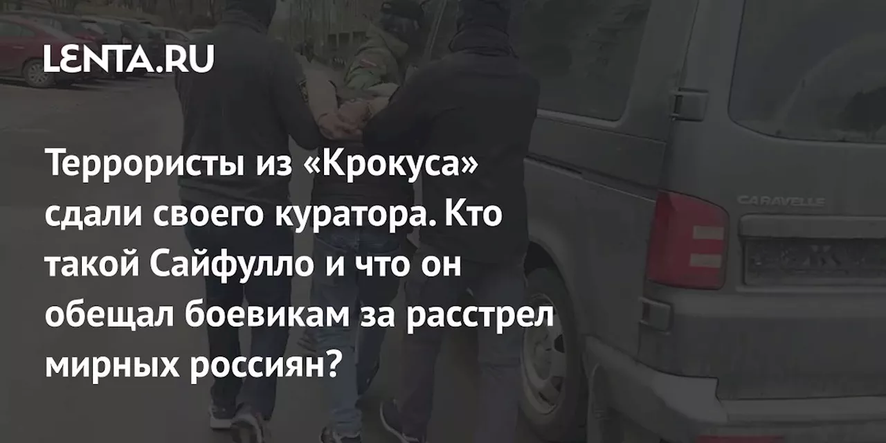 Террористы из «Крокуса» сдали своего куратора. Кто такой Сайфулло и что он обещал боевикам за расстрел мирных россиян?