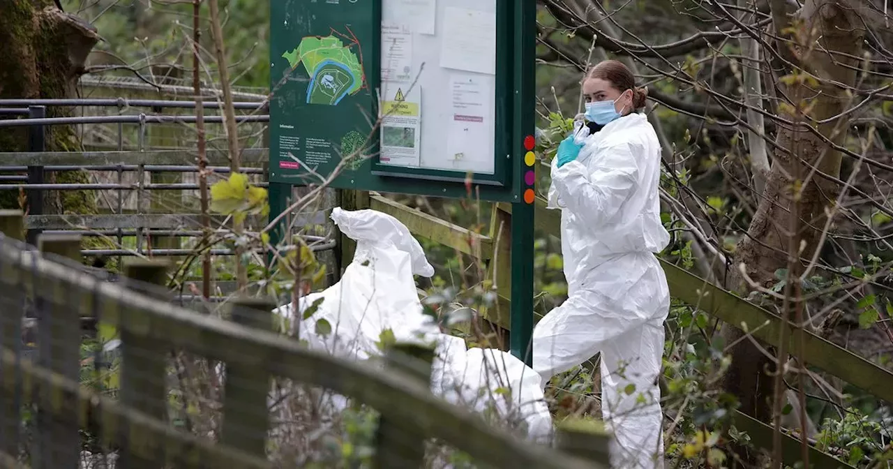 LIVE: Greater Manchester Police hold press conference after man's remains found in Salford