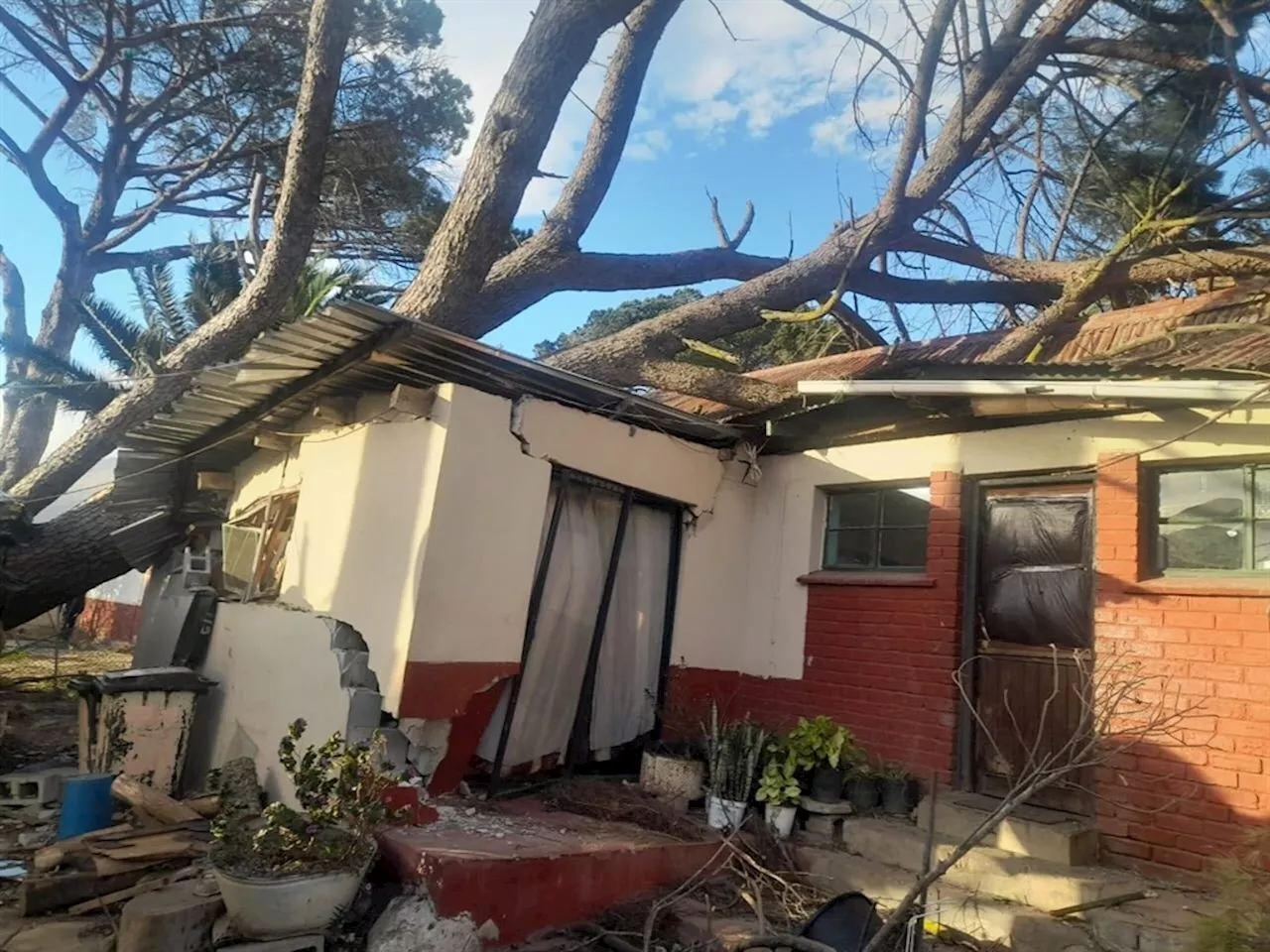 Chapman's Peak Drive and Huguenot Tunnel closed as strong winds wreak havoc in Western Cape