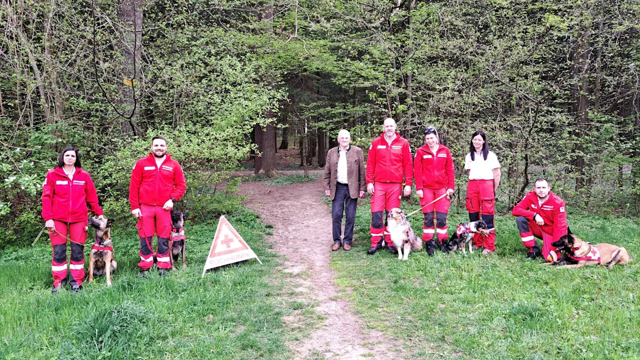 Rot-Kreuz-Suchhundestaffel trainiert im Rohrbacher Schlosswald