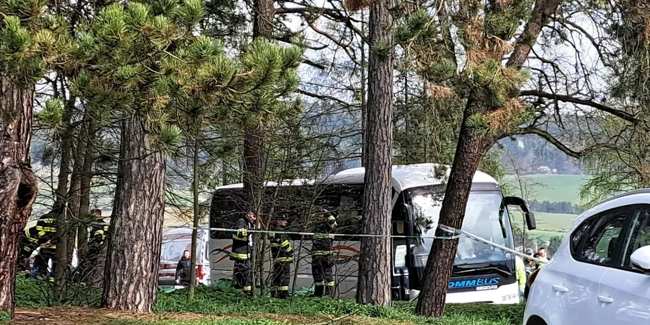 Drei Mädchen sterben bei schwerem Busunfall in der Slowakei