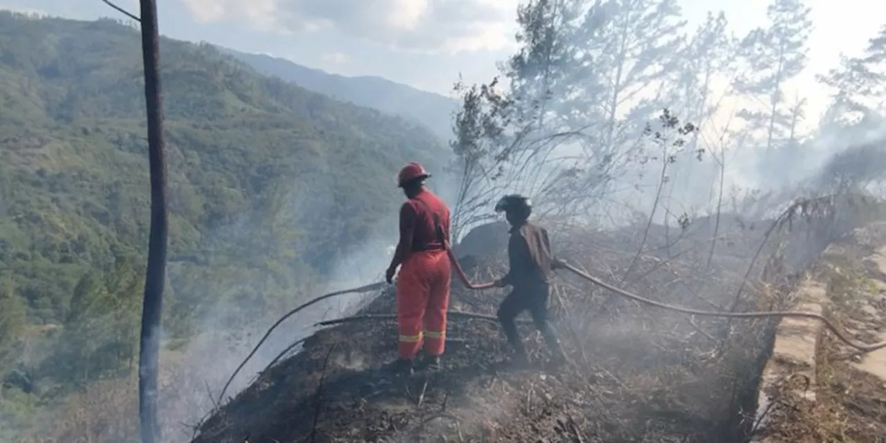 20 Hektare Lahan Warga di Bener Meriah Hangus