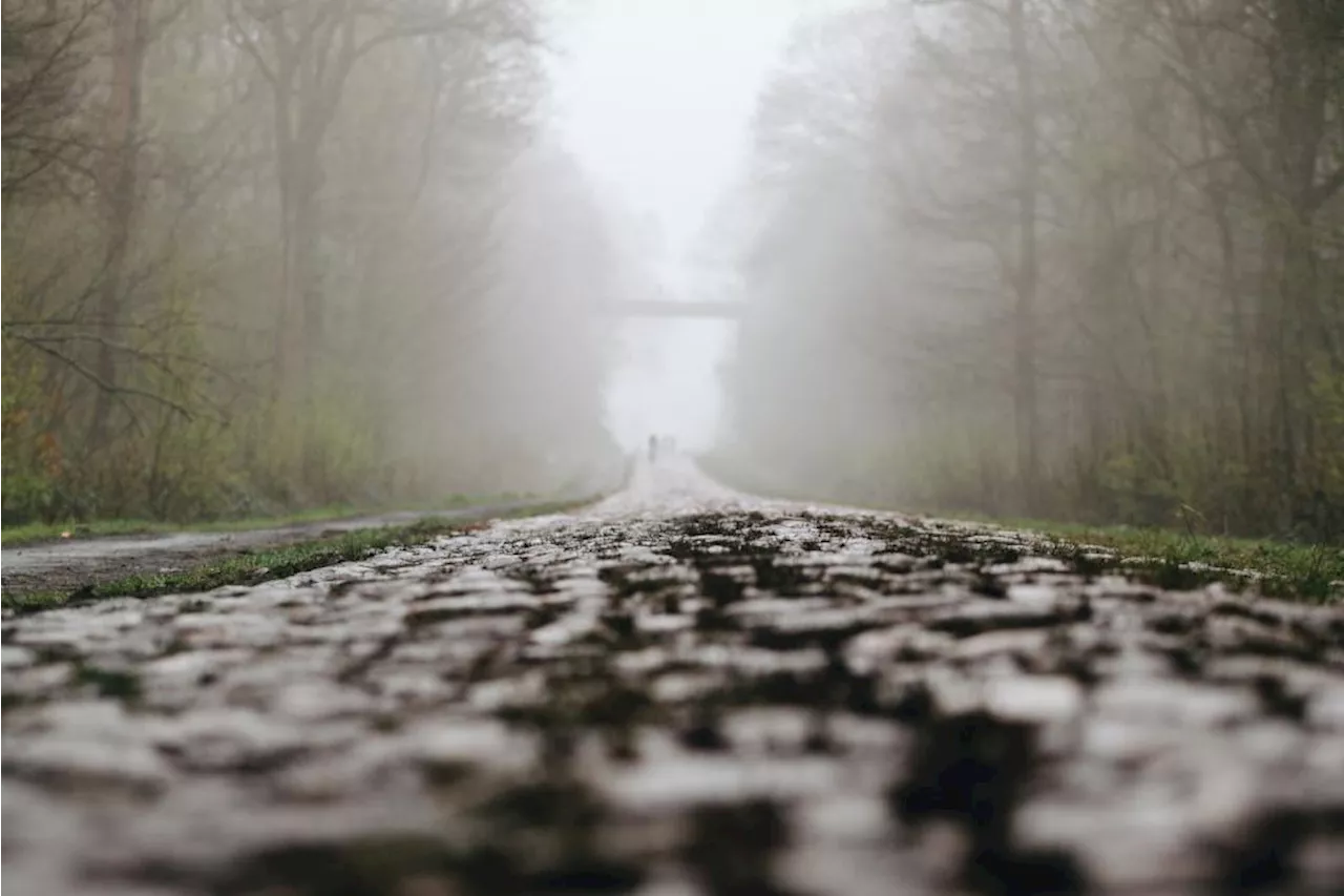 Josh Tarling disqualified from Paris-Roubaix for taking tow from team car