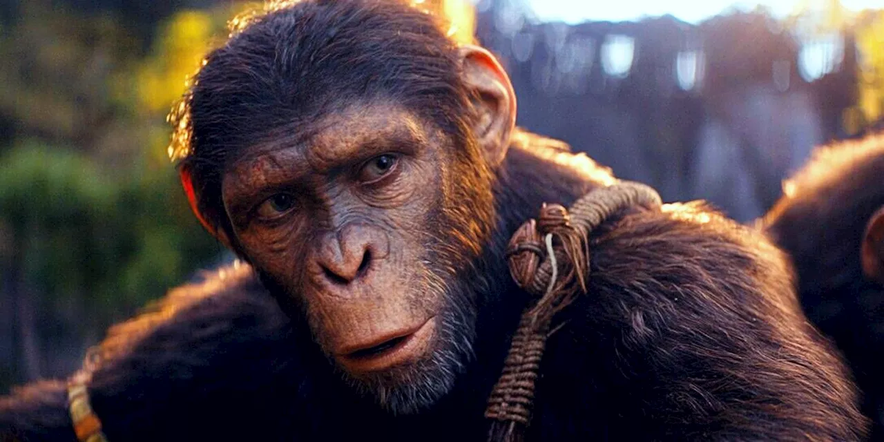 Kingdom Of The Planet Of The Apes Director Calls Out Misinformation On CGI Comment