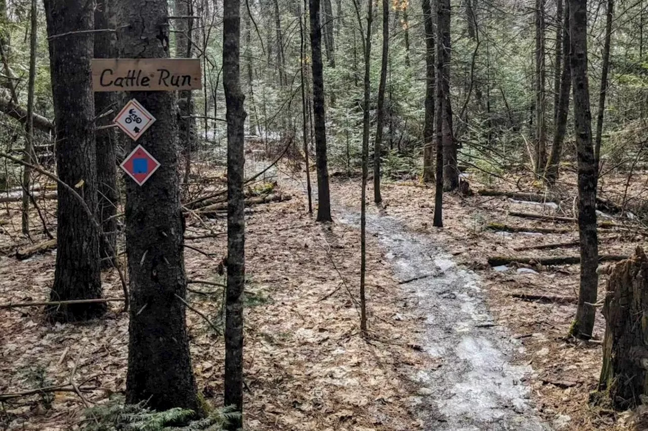 Mountain bikers: Cycling club wants you to avoid these trails