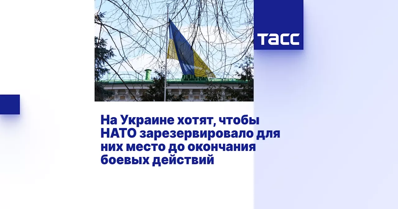 На Украине хотят, чтобы НАТО зарезервировало для них место до окончания боевых действий