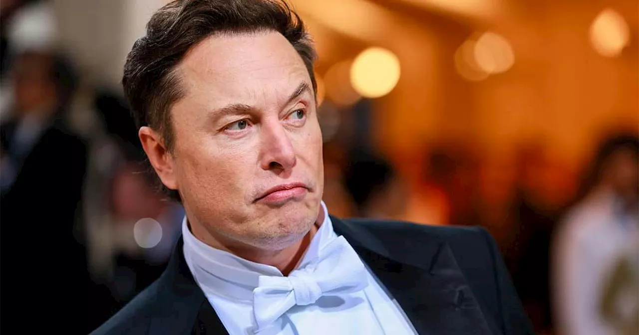 Elon Musk questiona censura no Brasil e planeja audiência sobre Twitter Files