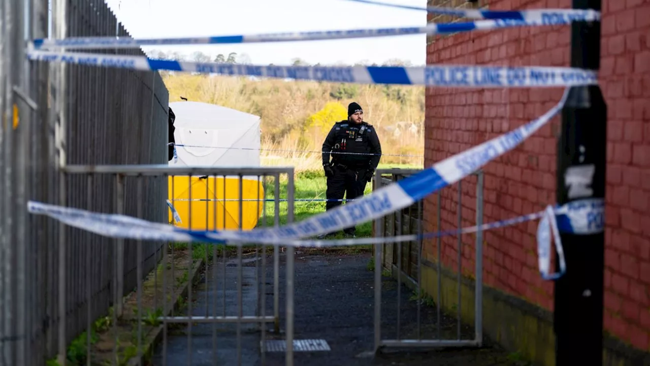 Two arrested after human remains found in a south London park