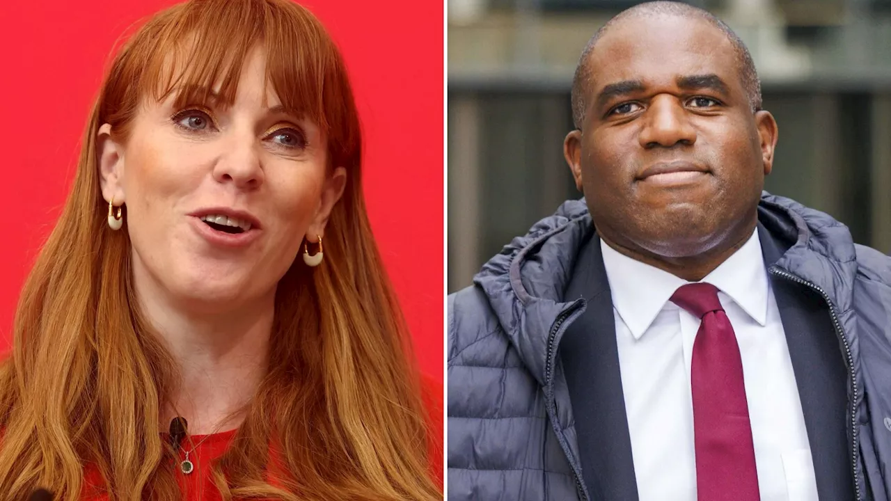 Angela Rayner should dodge council house tax probe because she is northern & in opposition, suggests David...