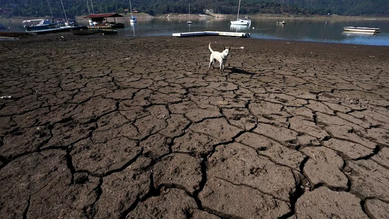 Top Europe rights court to issue landmark climate verdicts