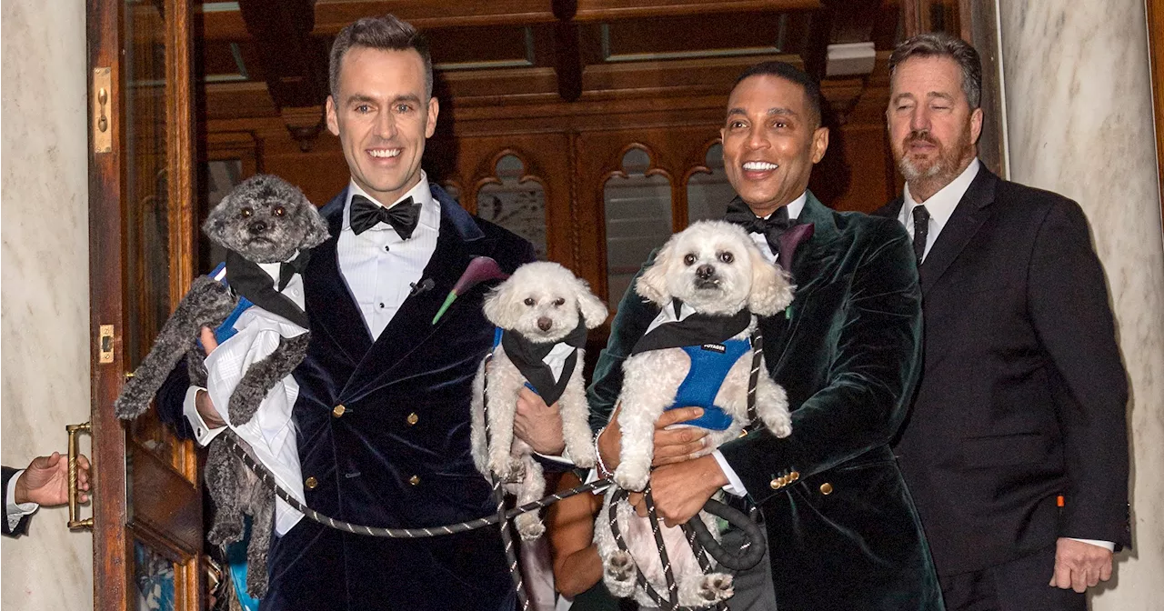 Celebrities Whose Dogs Were Featured in Their Weddings