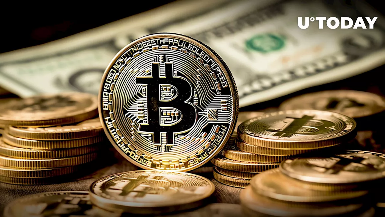 Bitcoin: 111,000 BTC Removed From Crypto Exchanges, What's Behind It