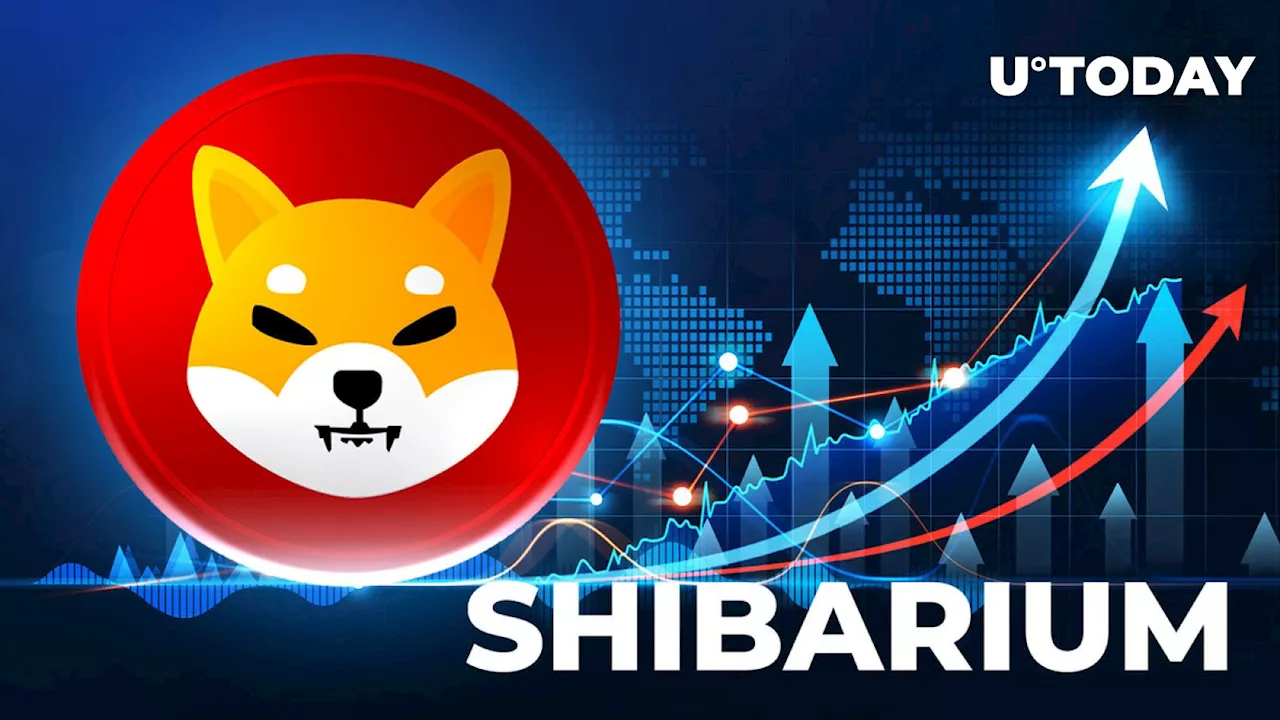 Shiba Inu's Shibarium Witnesses Staggering Surge in Activity