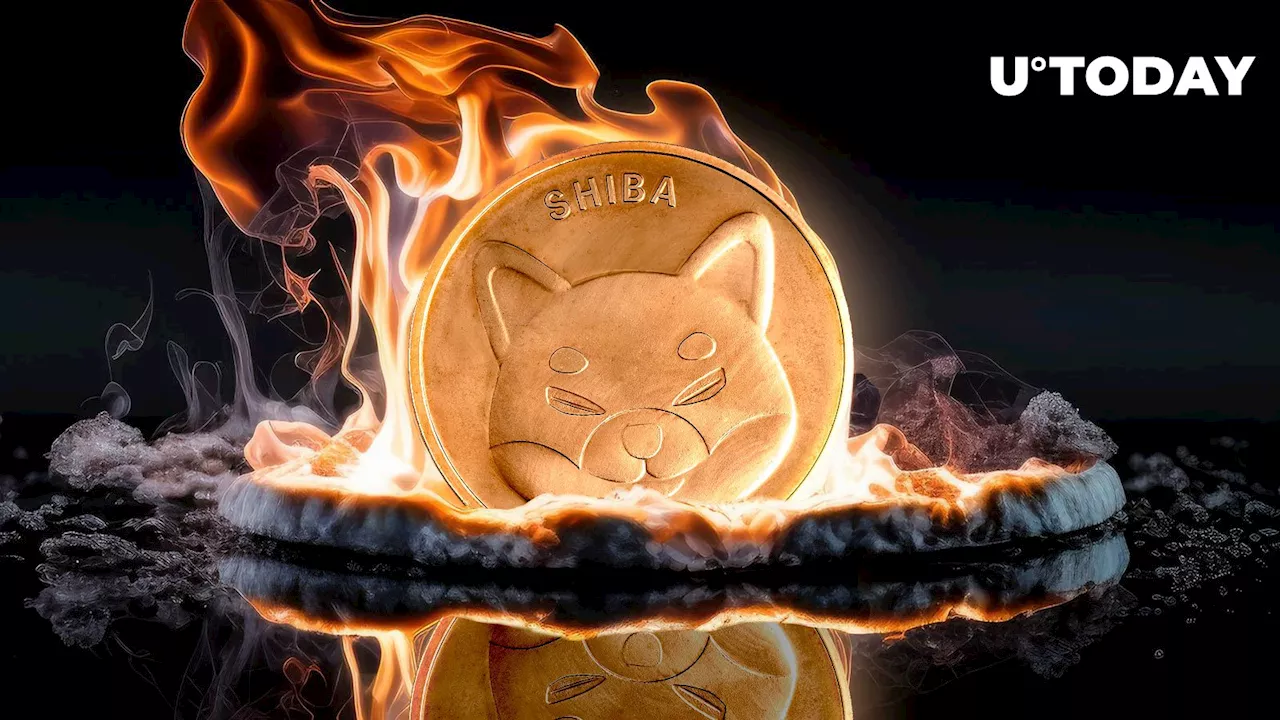 Shiba Inu Witnesses Surge in Token Burn Rate as Price Gains Momentum