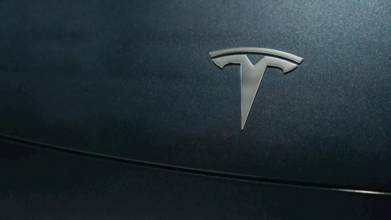 Elon Musk Sets Reveal Date for Tesla's Robotaxi