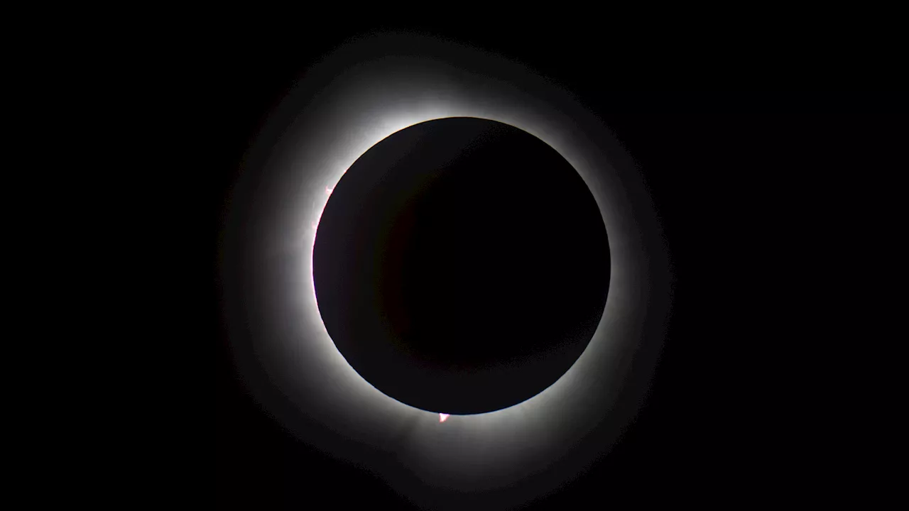 Millions of Americans Witness Rare Total Solar Eclipse