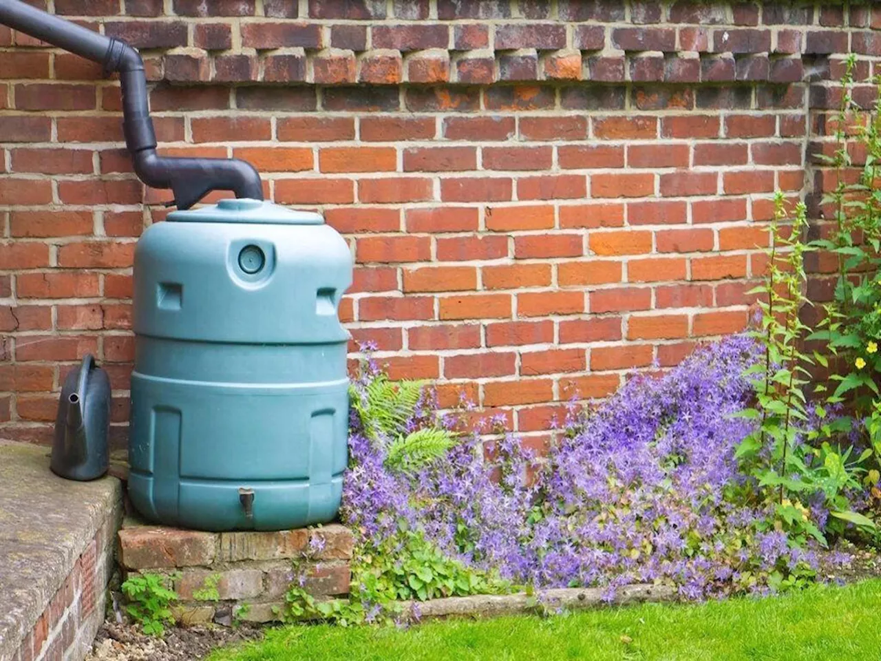 Subvention de 30 € pour votre récupérateur d'eau à Lons-le-Saunier : comment en profiter ?