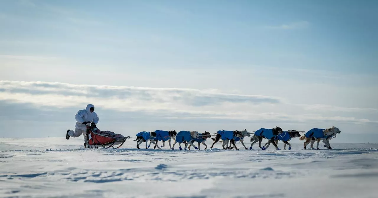 Jessie Holmes wins his third Kobuk 440 race: “This is my best racing season.”