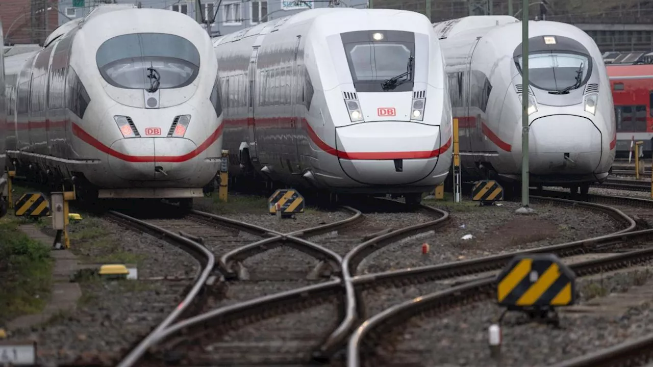 Linke fordert bessere Bahn-Verbindungen in Europa