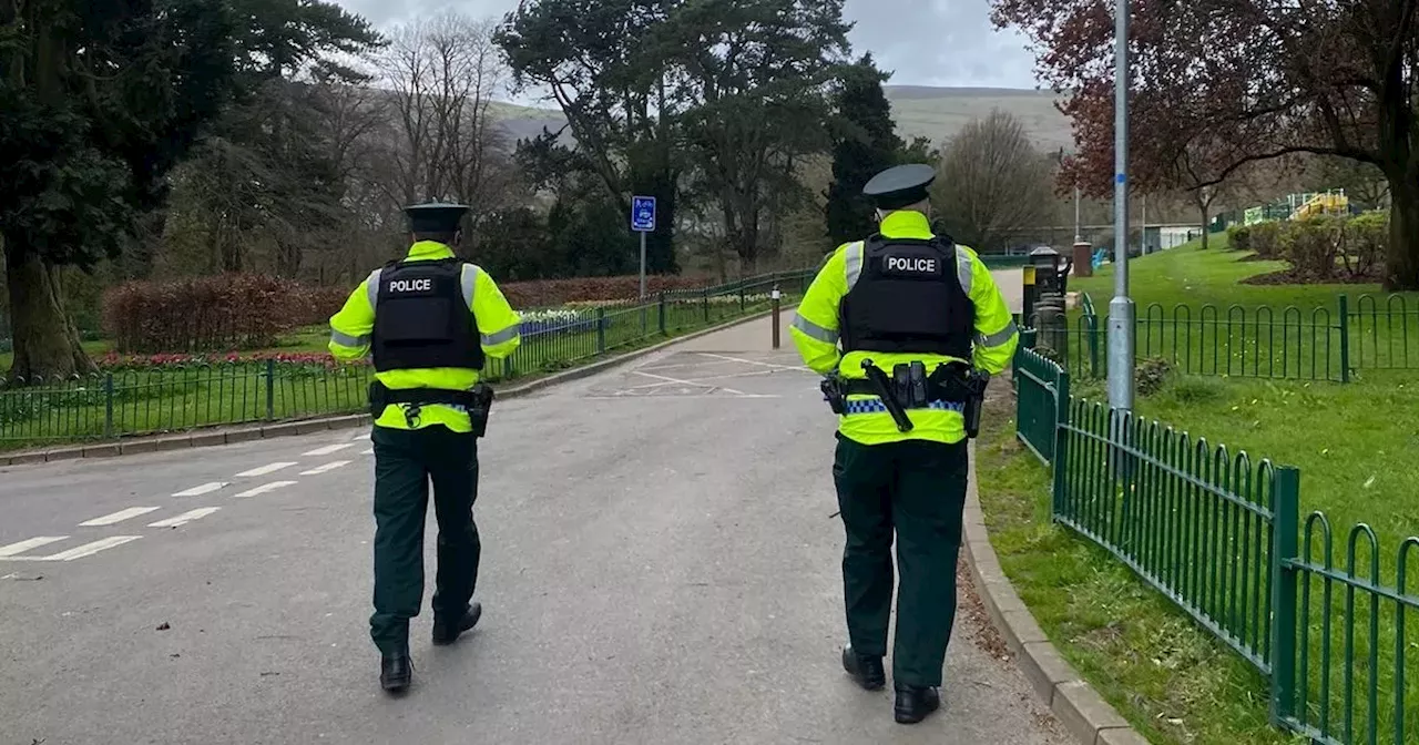 Police Officers Assaulted and Vehicles Damaged at Large Gathering in West Belfast