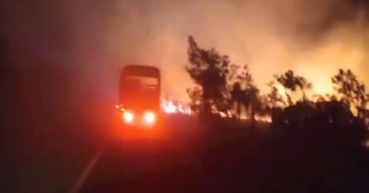 Controlan incendio que arrasó 120 hectáreas de bosque nativo en Los Santos, Santander