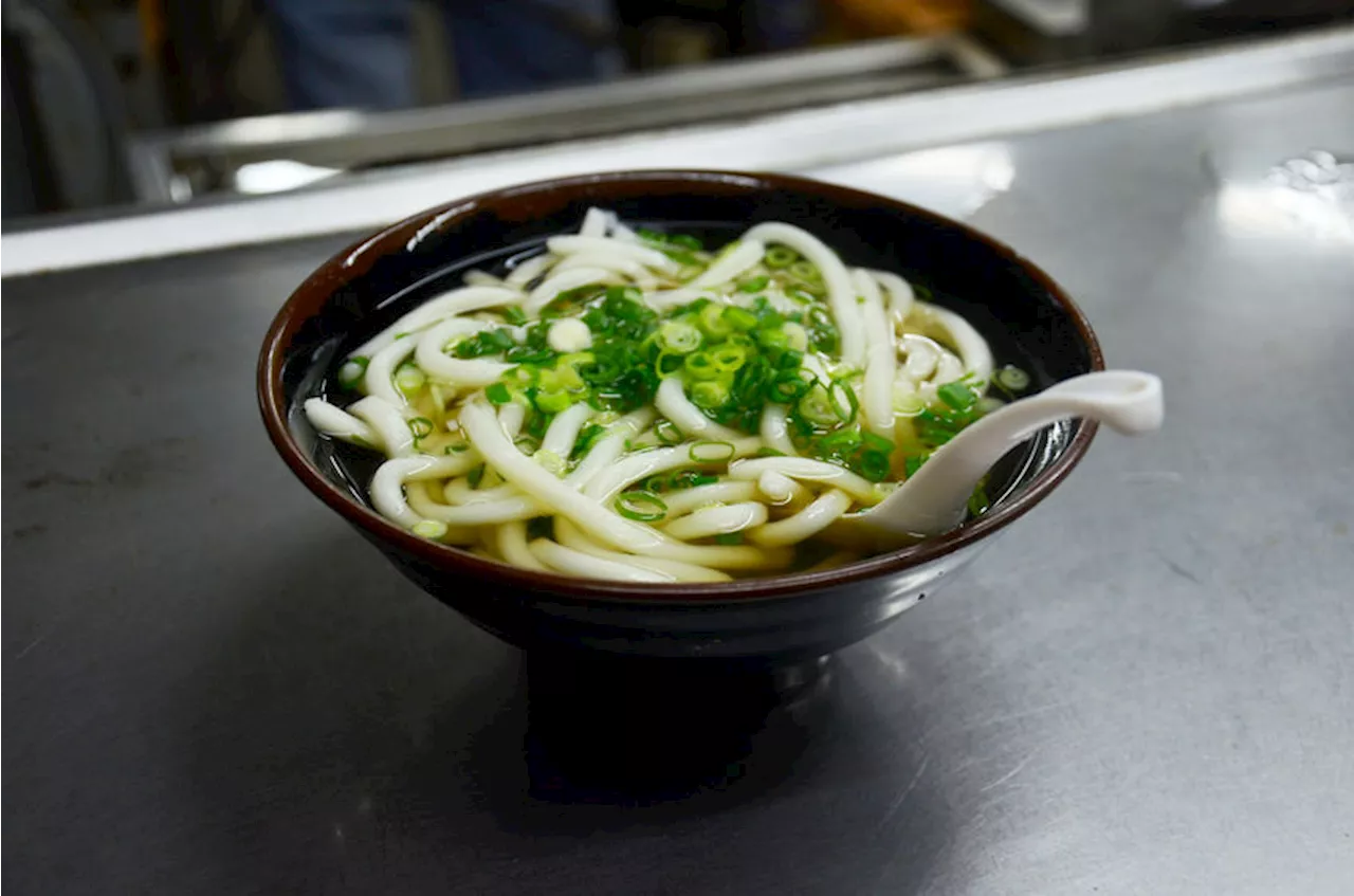 Vegetarian Japanese Udon Noodle Soup