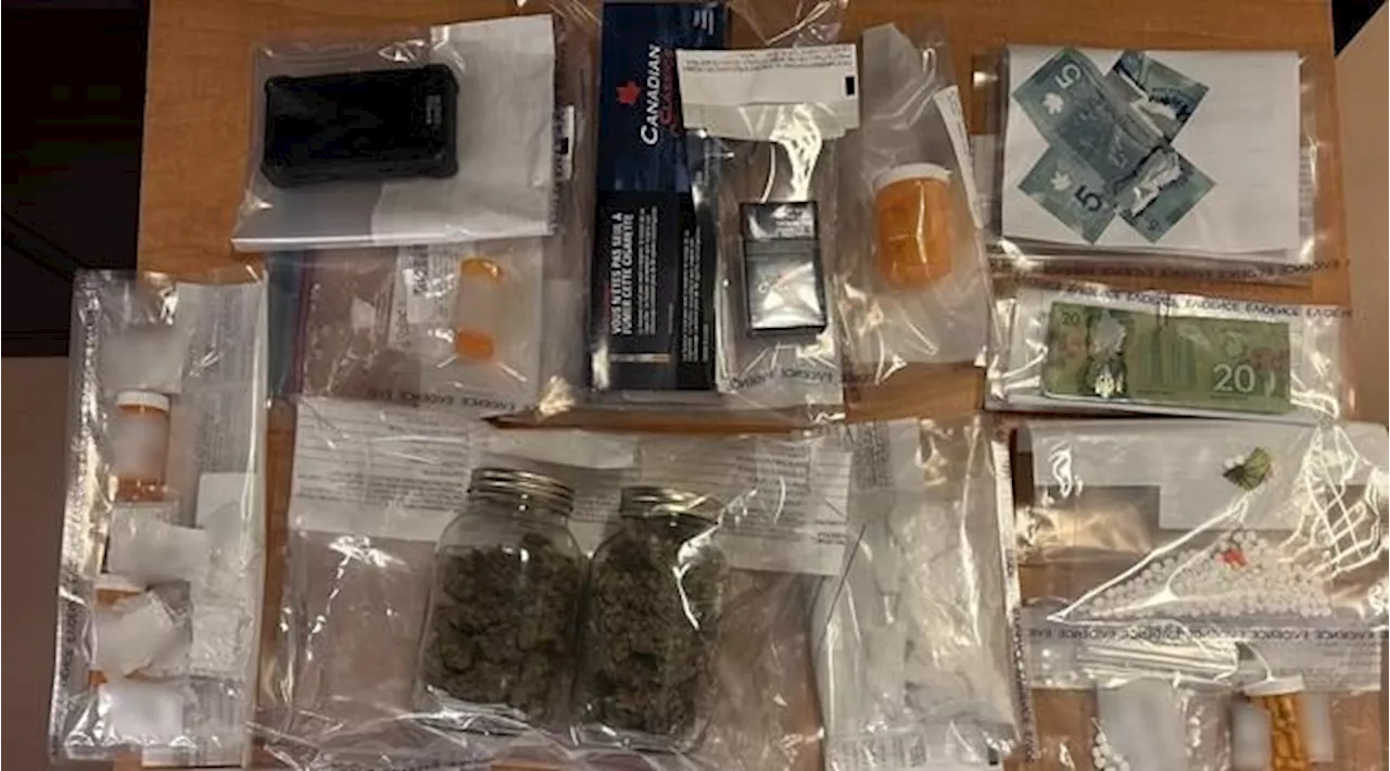 Two Arrested for Trafficking Safer-Supply Drugs in Prince George