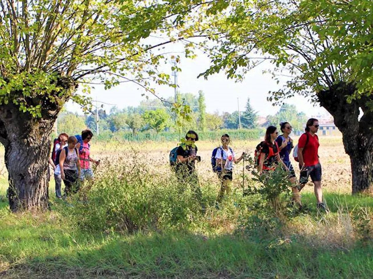 Fidenza (con il suo festival) sempre più capitale della Francigena