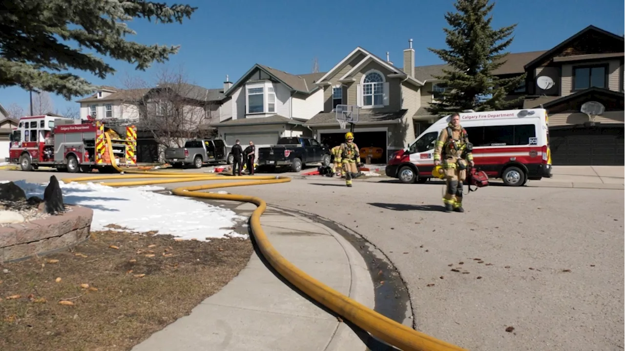 Dogs killed in fire in Cougar Ridge house fire