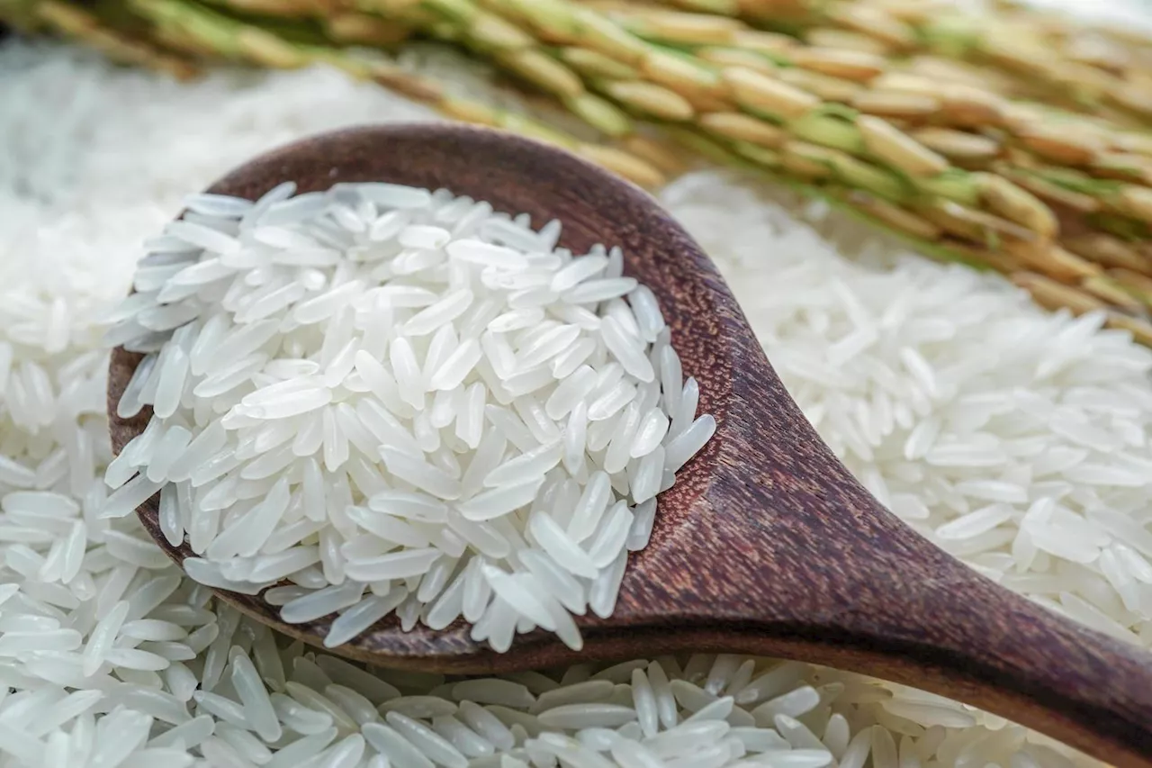 National rice physical stock exceeds 1 mln tonne, can meet demand: KPKM