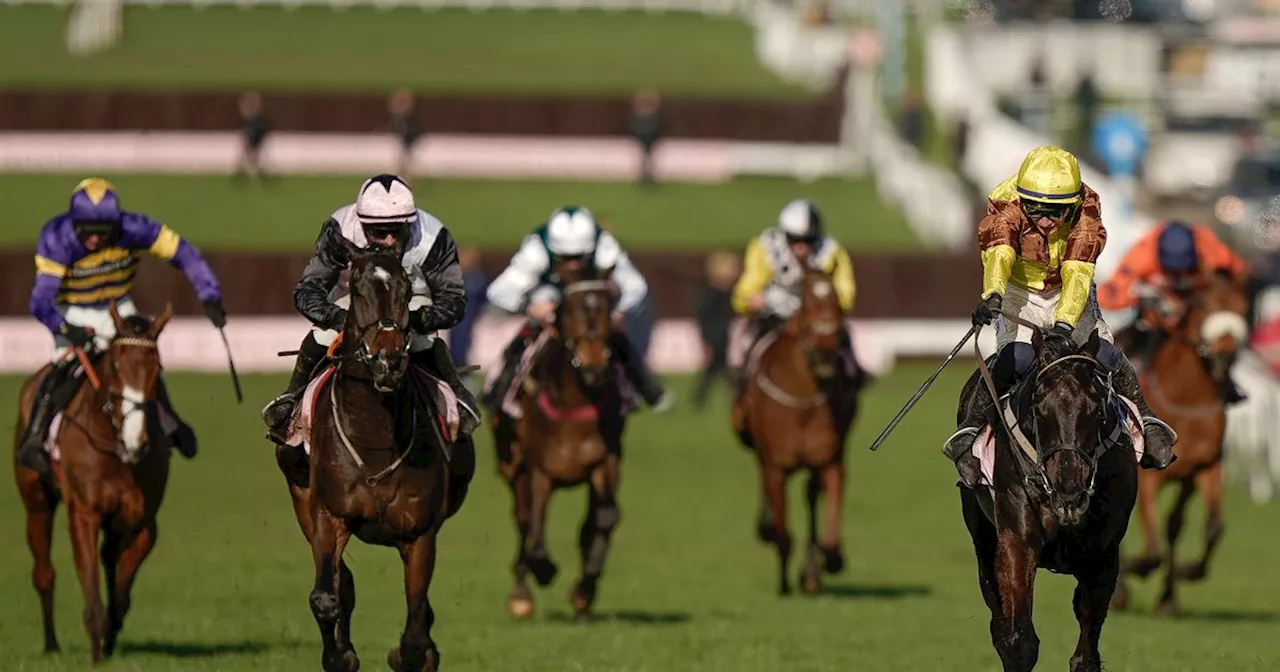 Grand National runners, riders, favourites and odds for 2024