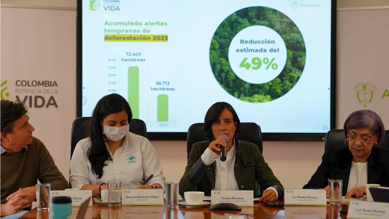 Aumento del 40% en la deforestación en Colombia y la Amazonía