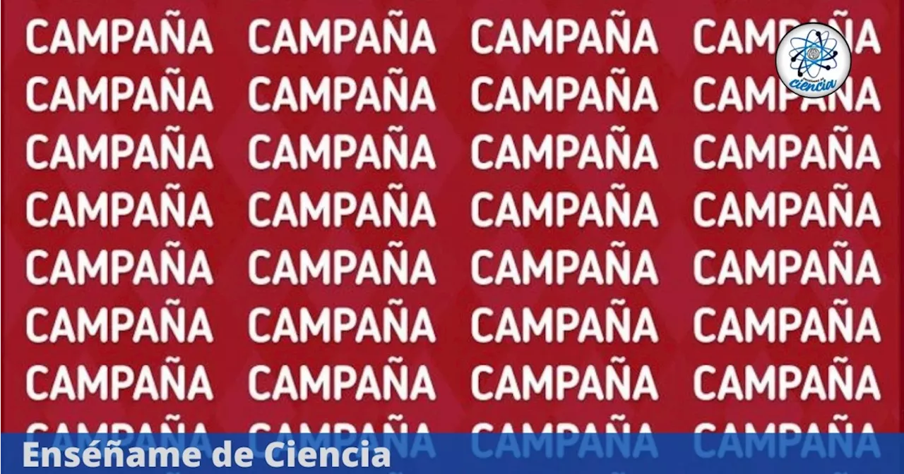 Acertijo visual de MÁXIMA DIFICULTAD: Localiza la palabra “CAMPANA” entre “CAMPAÑA” antes del tiempo límite