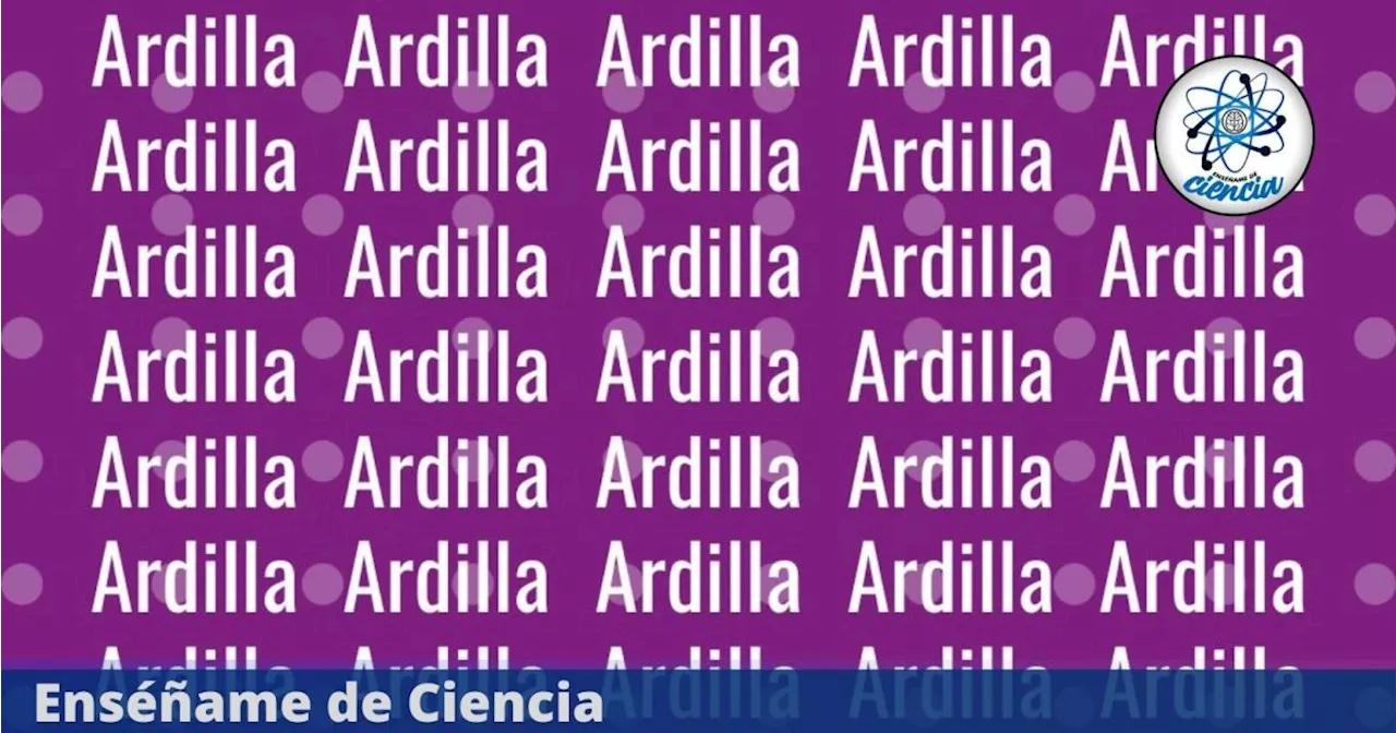 Acertijo visual en TENDENCIA ¿Serás el GENIO que encuentre “ARCILLA” entre “ARDILLA” en 5 segundos?