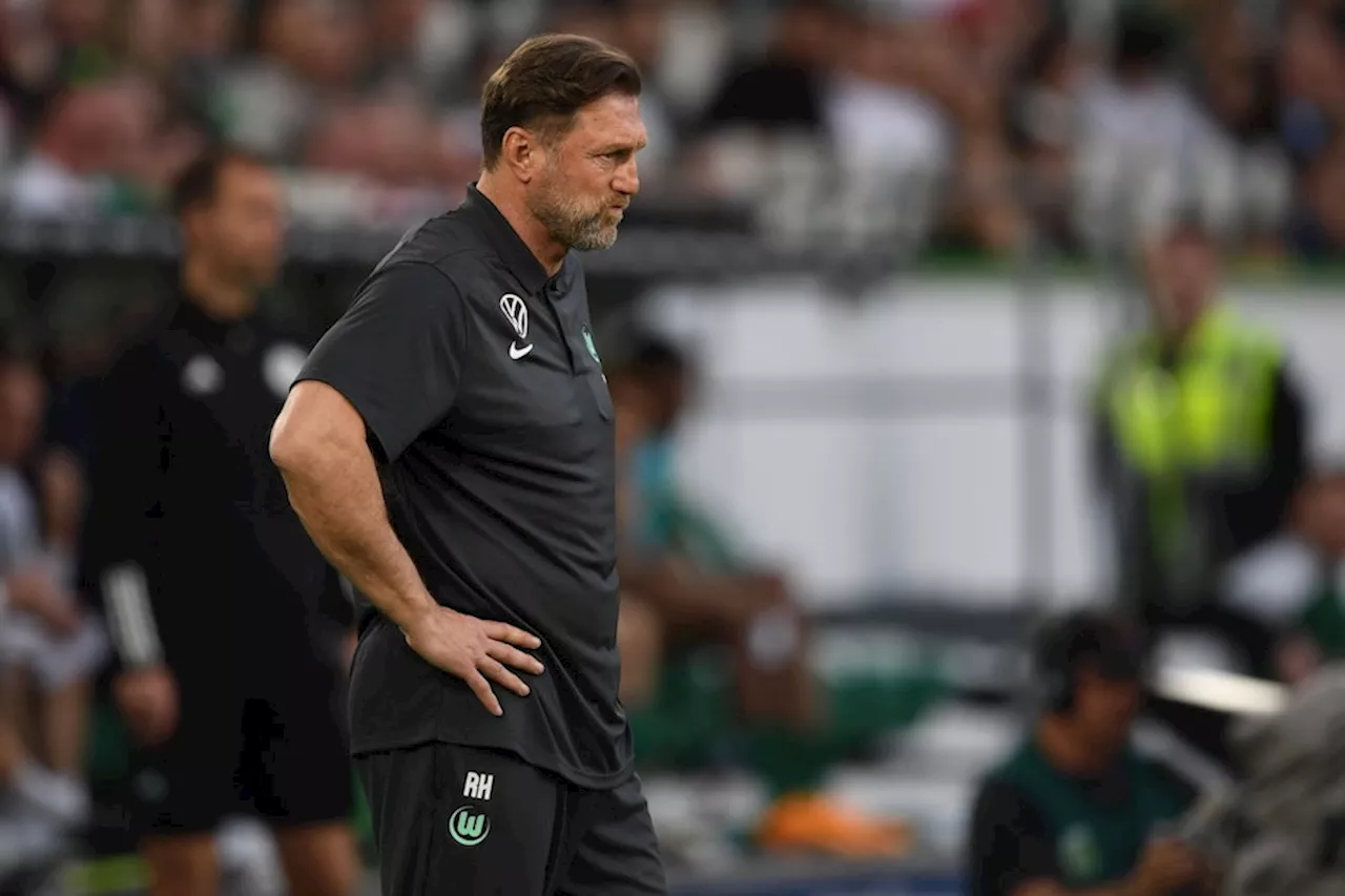 Hasenhüttl sieht noch viel Arbeit beim VfL Wolfsburg