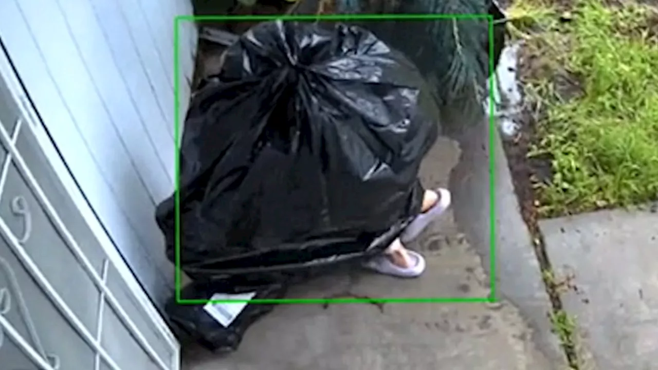 Creative Porch Pirate Steals Package with Trash Bag