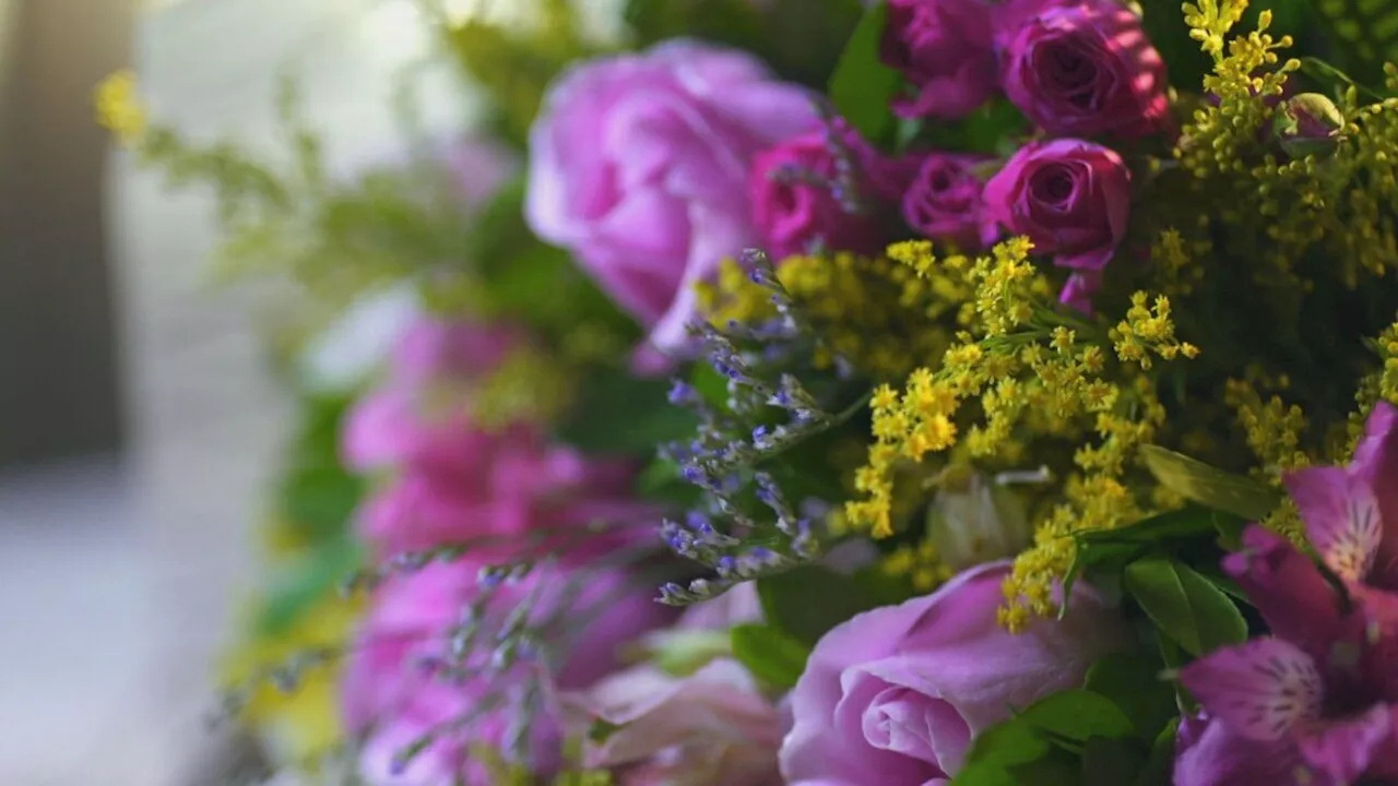 Quadrilha aplicava golpe com flores e deixava vítimas endividadas no dia do aniversário