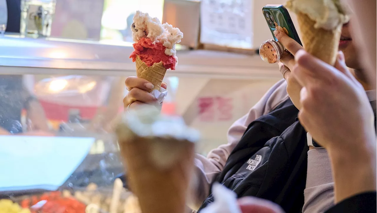 Gelati da maestro, ecco i quattro che si contendono lo scettro