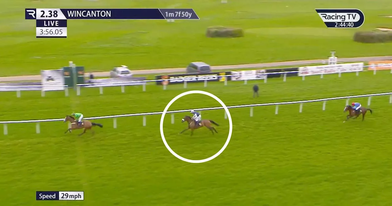 Harry Redknapp's Horse Causes Controversy at Wincanton