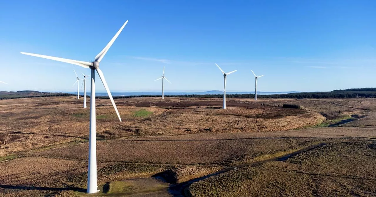 Wind farms set new record in March amid blustery conditions