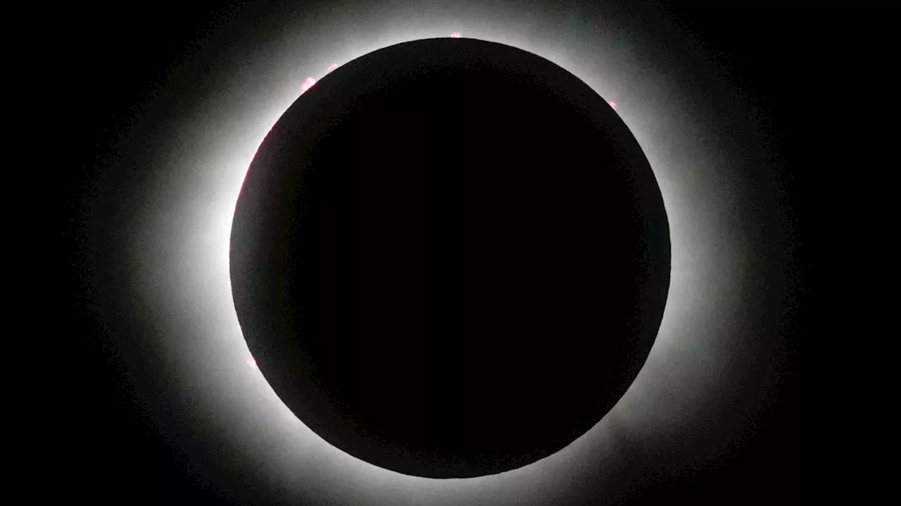 In pictures: Millions of stargazers watch Total Solar Eclipse across central and north America