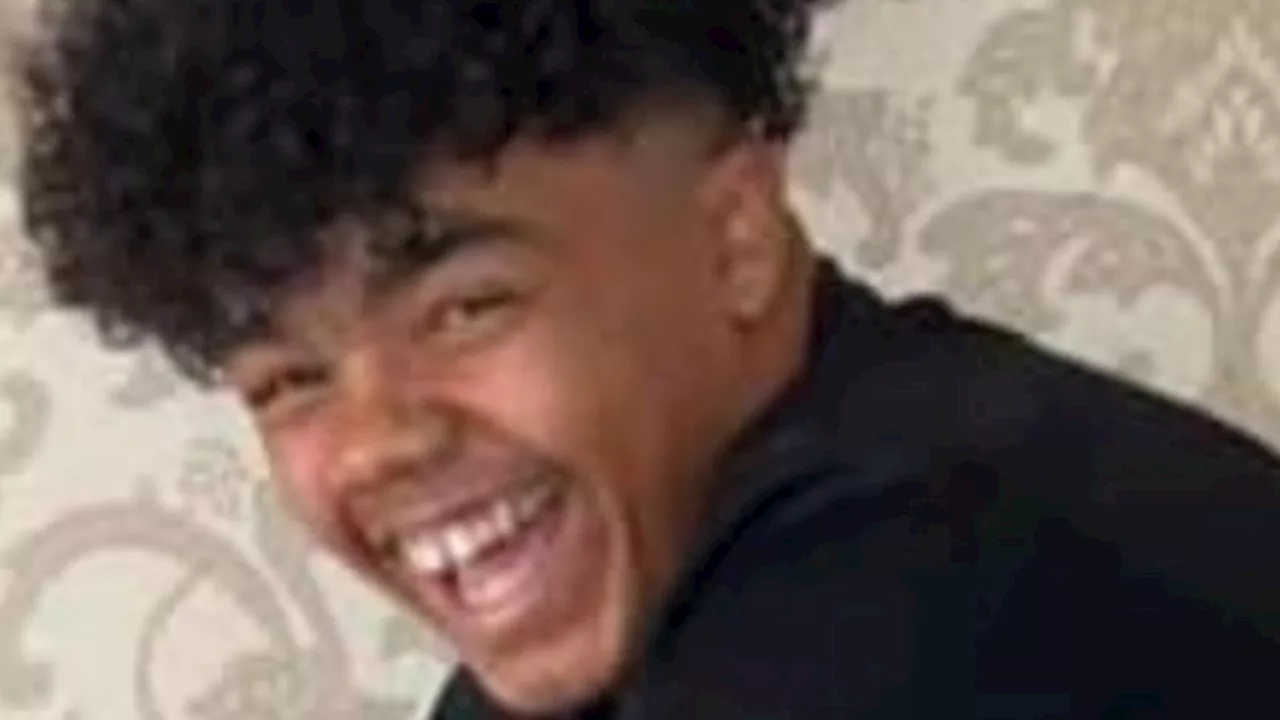 Teenager arrested as family of stabbed boy, 15, pay tribute to 'wonderful son'