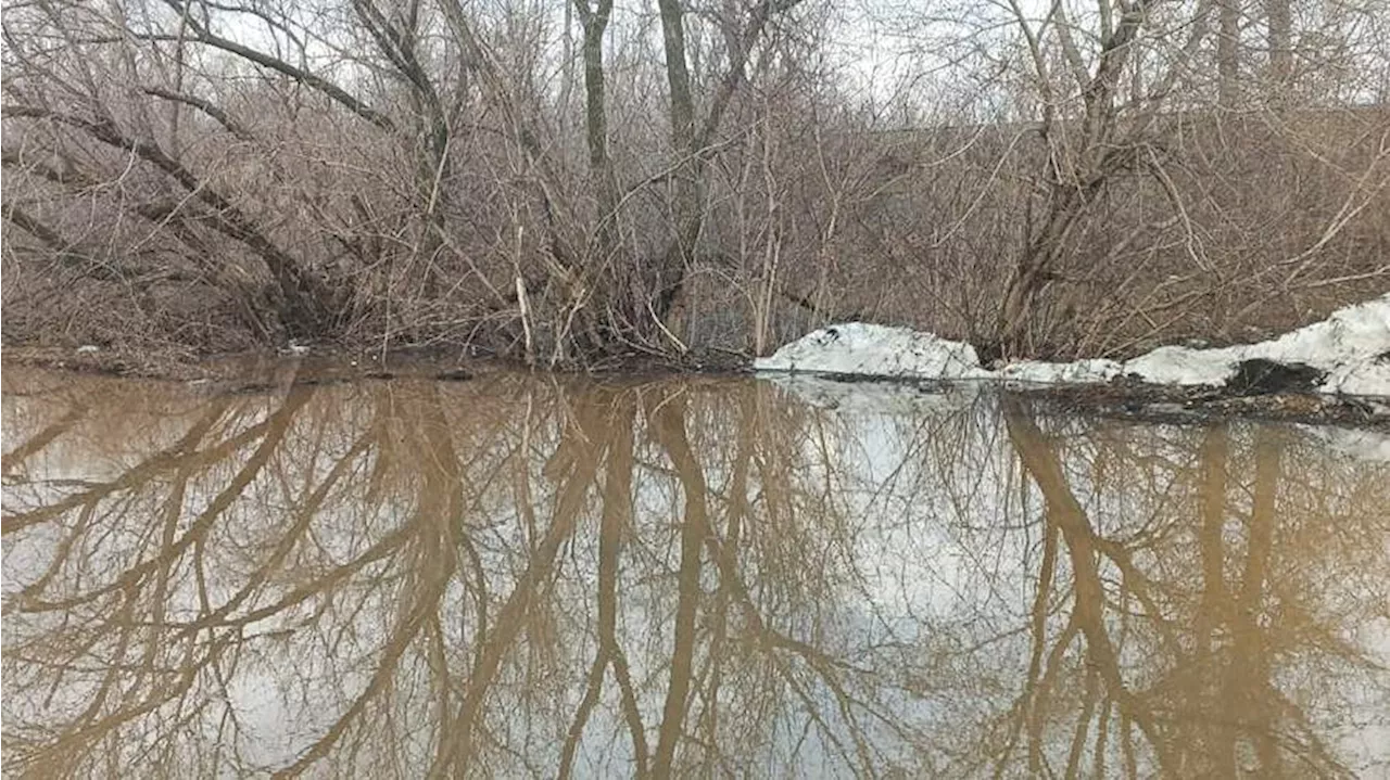 Уровень воды в реке Урал у Оренбурга за сутки вырос на 16 см