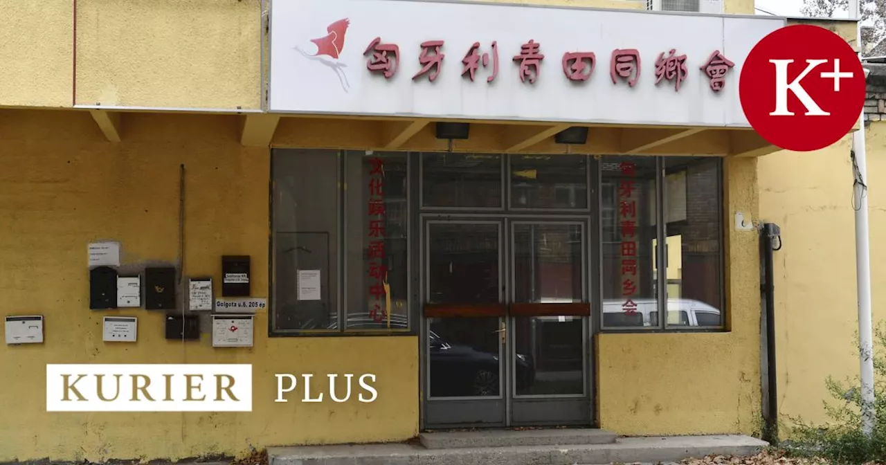 Chinas Polizeistation in Wien: Grüne stellen parlamentarische Anfrage