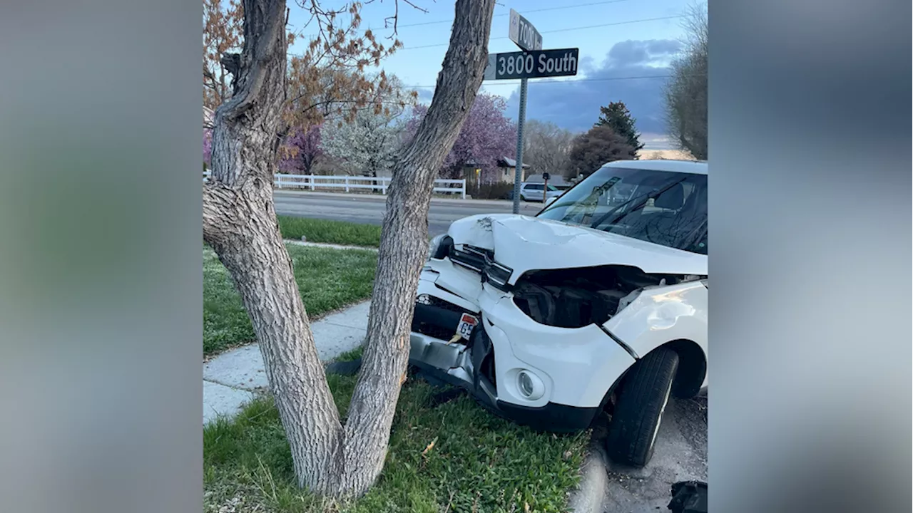 Group of juveniles allegedly crash one of two stolen vehicles in West Valley, flee scene