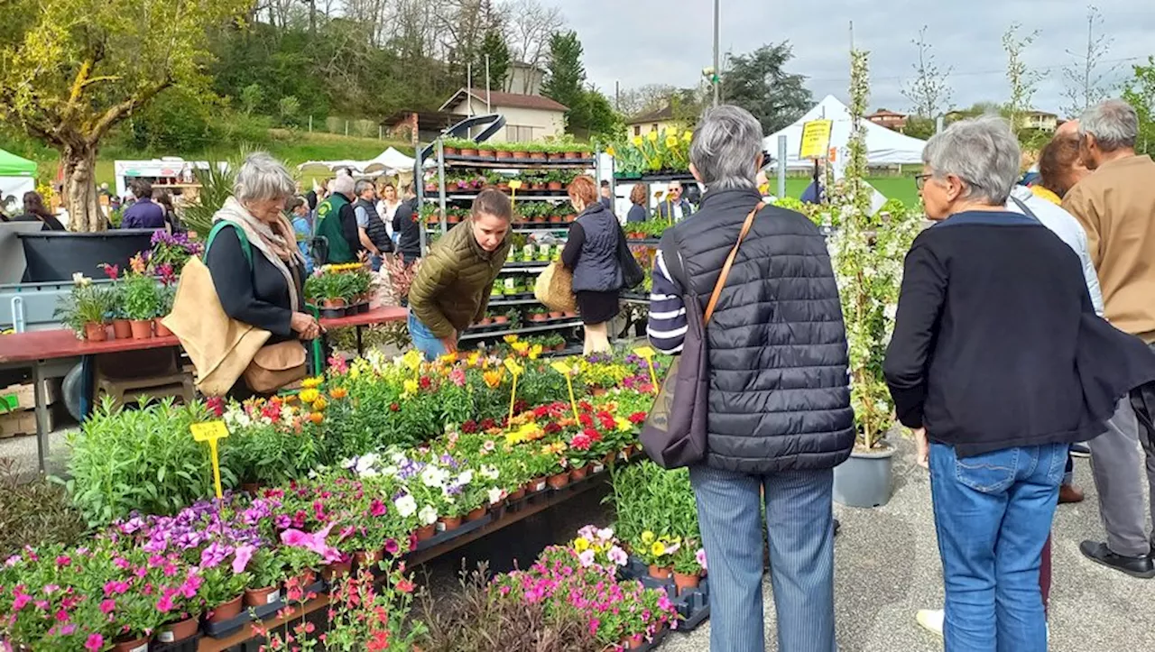 La Foire au Jardinage de Pavie : les visiteurs privilégient les espèces peu gourmandes en eau