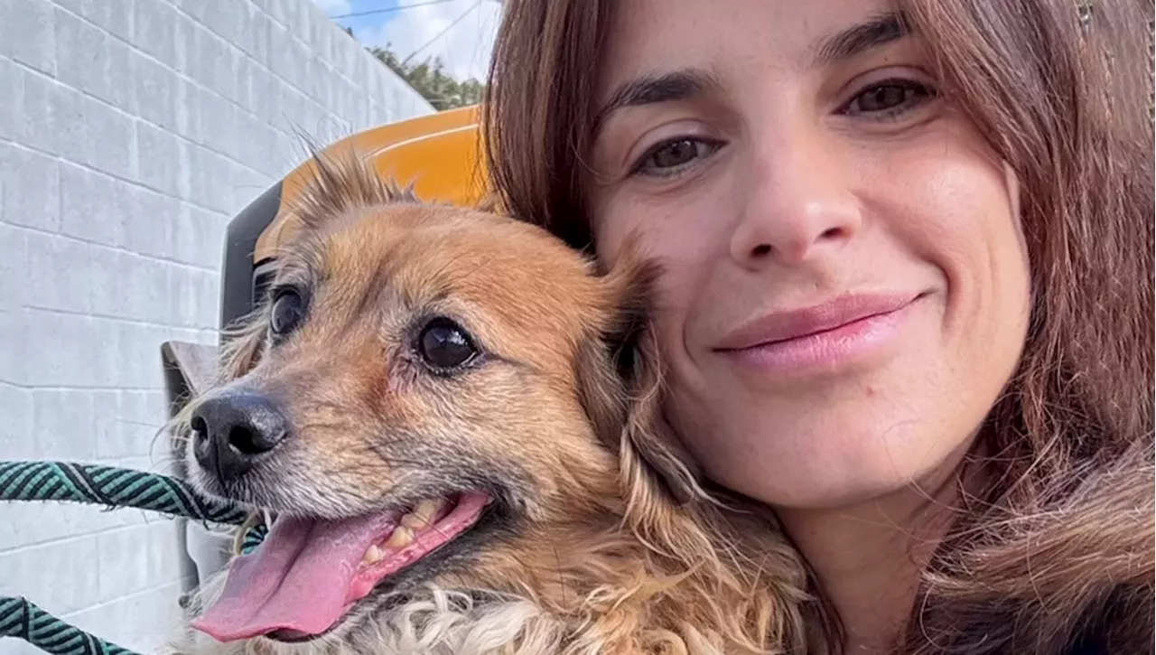 Elisabetta Canalis adotta un cane anziano